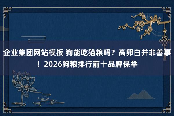 企业集团网站模板 狗能吃猫粮吗？高卵白并非善事！2026狗粮排行前十品牌保举
