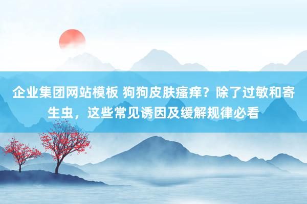 企业集团网站模板 狗狗皮肤瘙痒？除了过敏和寄生虫，这些常见诱因及缓解规律必看