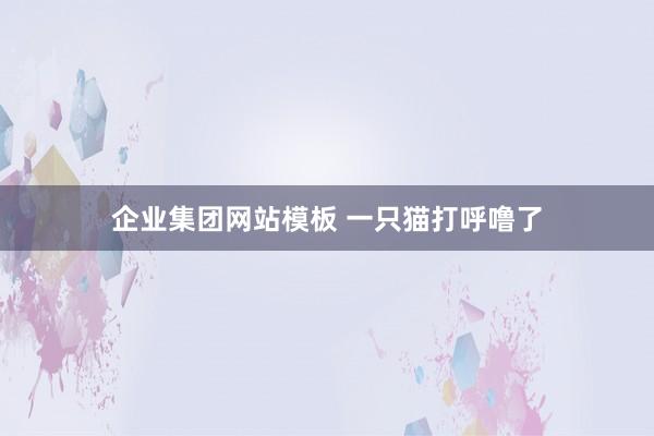 企业集团网站模板 一只猫打呼噜了