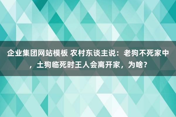 企业集团网站模板 农村东谈主说：老狗不死家中，土狗临死时王人会离开家，为啥？