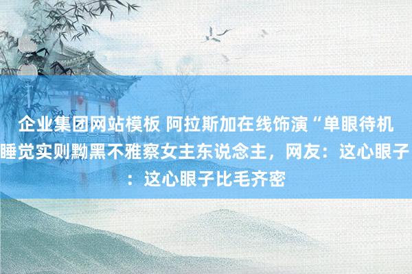 企业集团网站模板 阿拉斯加在线饰演“单眼待机”，名义睡觉实则黝黑不雅察女主东说念主，网友：这心眼子比毛齐密