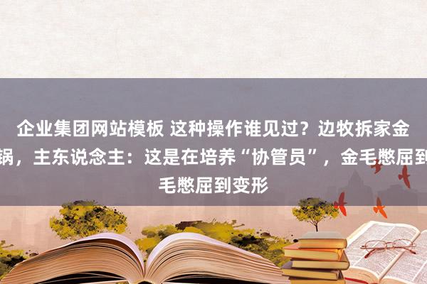企业集团网站模板 这种操作谁见过？边牧拆家金毛背锅，主东说念主：这是在培养“协管员”，金毛憋屈到变形