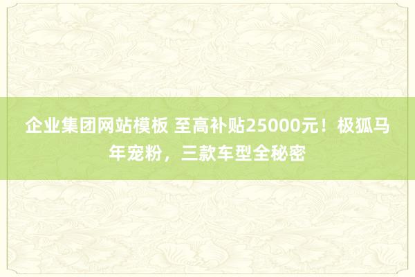 企业集团网站模板 至高补贴25000元！极狐马年宠粉，三款车型全秘密
