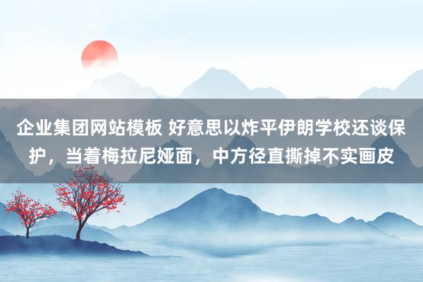 企业集团网站模板 好意思以炸平伊朗学校还谈保护，当着梅拉尼娅面，中方径直撕掉不实画皮