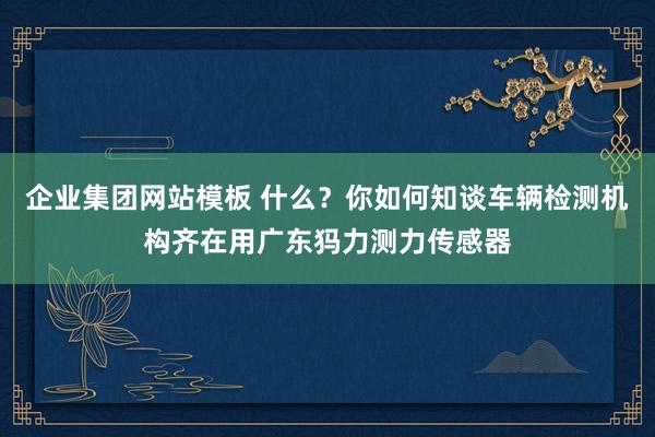 企业集团网站模板 什么？你如何知谈车辆检测机构齐在用广东犸力测力传感器