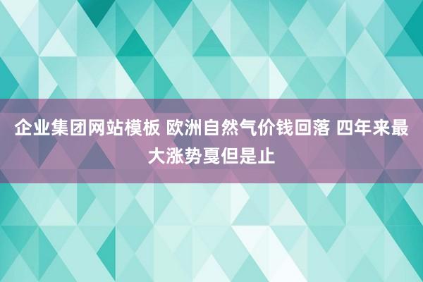 企业集团网站模板 欧洲自然气价钱回落 四年来最大涨势戛但是止