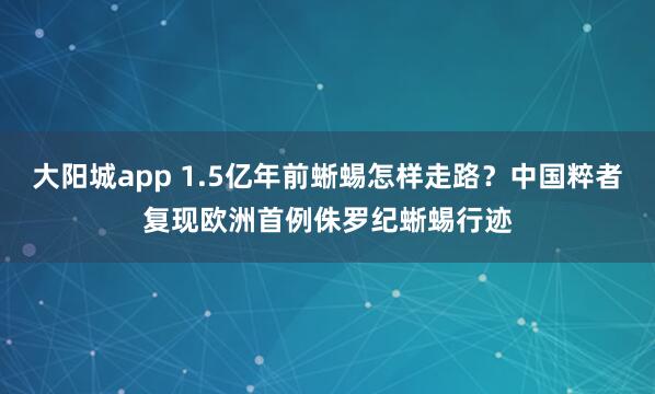 大阳城app 1.5亿年前蜥蜴怎样走路？中国粹者复现欧洲首例侏罗纪蜥蜴行迹