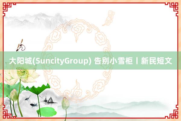 大阳城(SuncityGroup) 告别小雪柜丨新民短文