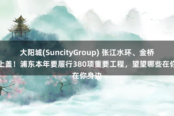 大阳城(SuncityGroup) 张江水环、金桥地铁上盖！浦东本年要履行380项重要工程，望望哪些在你身边