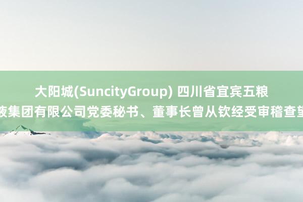 大阳城(SuncityGroup) 四川省宜宾五粮液集团有限公司党委秘书、董事长曾从钦经受审稽查望
