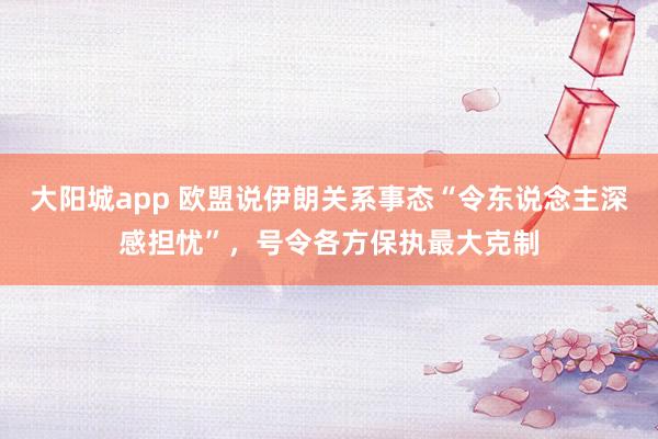 大阳城app 欧盟说伊朗关系事态“令东说念主深感担忧”，号令各方保执最大克制