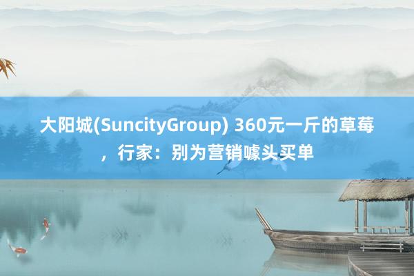 大阳城(SuncityGroup) 360元一斤的草莓，行家：别为营销噱头买单