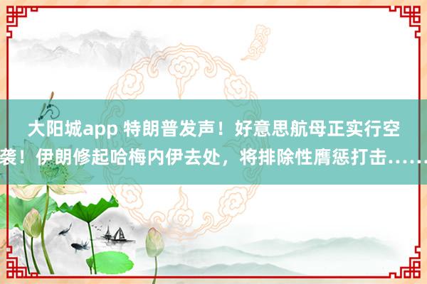 大阳城app 特朗普发声！好意思航母正实行空袭！伊朗修起哈梅内伊去处，将排除性膺惩打击……