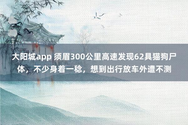 大阳城app 须眉300公里高速发现62具猫狗尸体，不少身着一稔，想到出行放车外遭不测