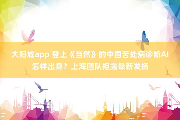大阳城app 登上《当然》的中国苦处病诊断AI怎样出身？上海团队袒露最新发扬