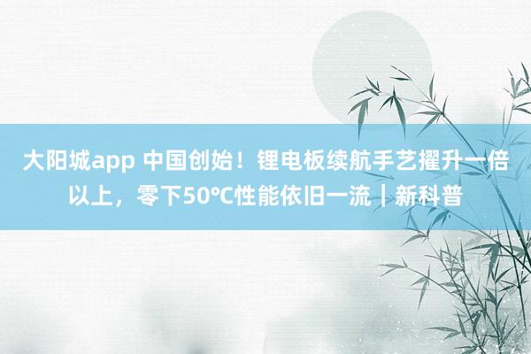 大阳城app 中国创始！锂电板续航手艺擢升一倍以上，零下50℃性能依旧一流｜新科普