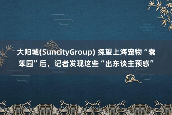 大阳城(SuncityGroup) 探望上海宠物“蠢笨园”后，记者发现这些“出东谈主预感”