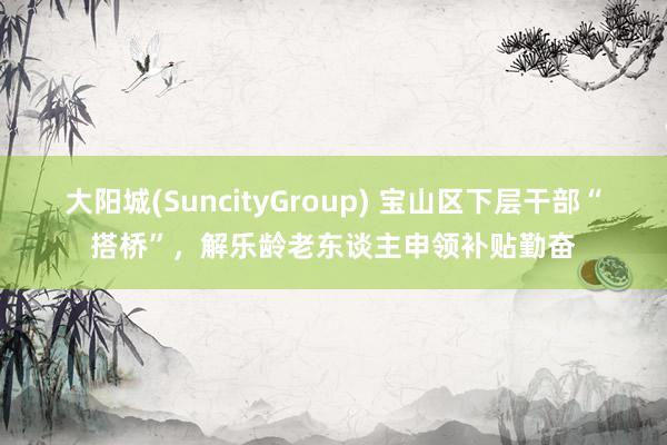 大阳城(SuncityGroup) 宝山区下层干部“搭桥”，解乐龄老东谈主申领补贴勤奋