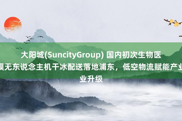 大阳城(SuncityGroup) 国内初次生物医药规模无东说念主机干冰配送落地浦东，低空物流赋能产业升级