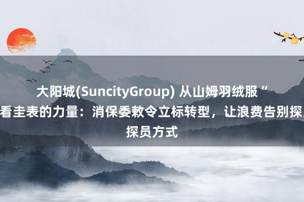 大阳城(SuncityGroup) 从山姆羽绒服“断货”看圭表的力量：消保委敕令立标转型，让浪费告别探员方式