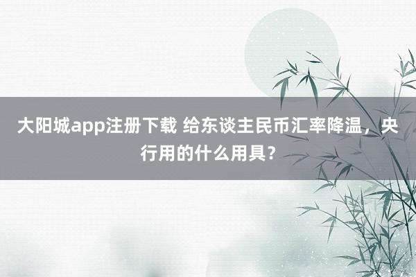 大阳城app注册下载 给东谈主民币汇率降温，央行用的什么用具？