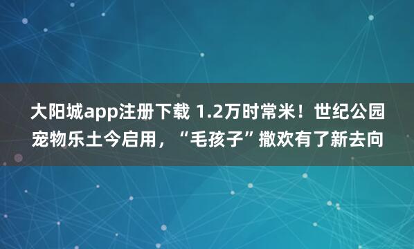大阳城app注册下载 1.2万时常米！世纪公园宠物乐土今启用，“毛孩子”撒欢有了新去向