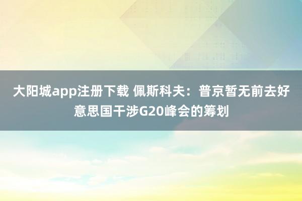 大阳城app注册下载 佩斯科夫：普京暂无前去好意思国干涉G20峰会的筹划