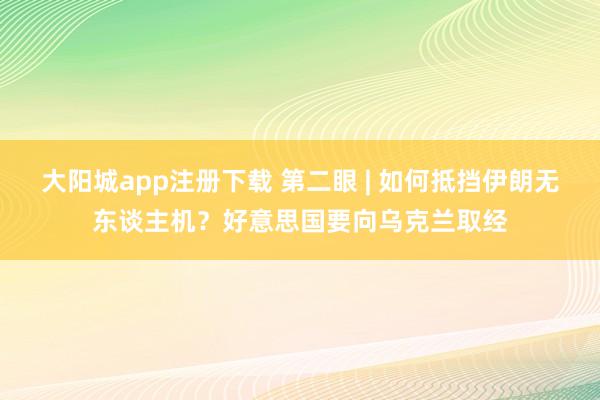 大阳城app注册下载 第二眼 | 如何抵挡伊朗无东谈主机？好意思国要向乌克兰取经