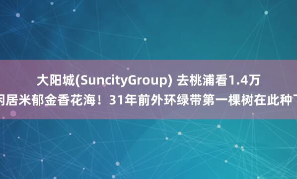 大阳城(SuncityGroup) 去桃浦看1.4万闲居米郁金香花海！31年前外环绿带第一棵树在此种下