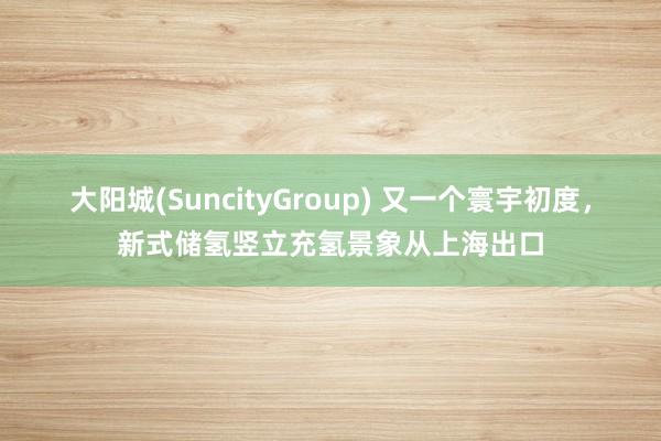 大阳城(SuncityGroup) 又一个寰宇初度，新式储氢竖立充氢景象从上海出口