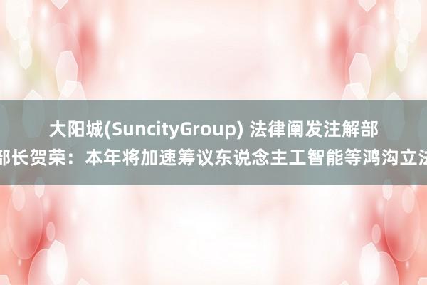 大阳城(SuncityGroup) 法律阐发注解部部长贺荣：本年将加速筹议东说念主工智能等鸿沟立法