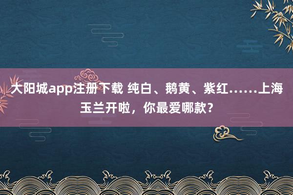 大阳城app注册下载 纯白、鹅黄、紫红……上海玉兰开啦，你最爱哪款？