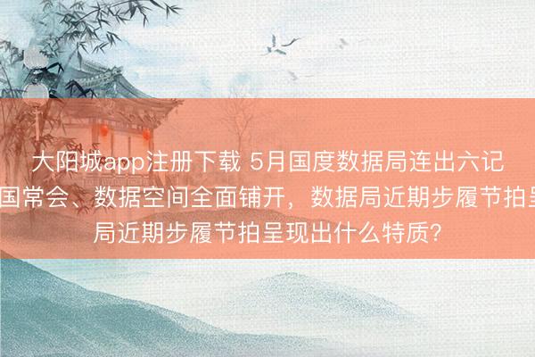 大阳城app注册下载 5月国度数据局连出六记重拳:算力网入国常会、数据空间全面铺开,数据局近期步履节拍呈现出什么特质?