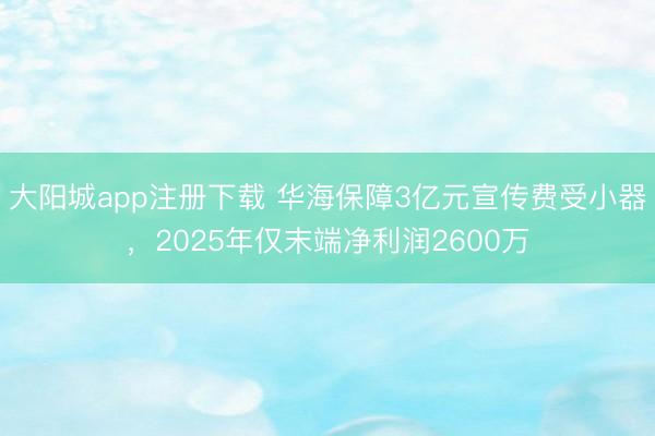 大阳城app注册下载 华海保障3亿元宣传费受小器，2025年仅末端净利润2600万