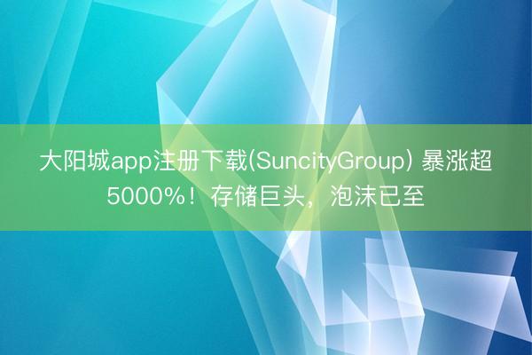 大阳城app注册下载(SuncityGroup) 暴涨超5000%！存储巨头，泡沫已至