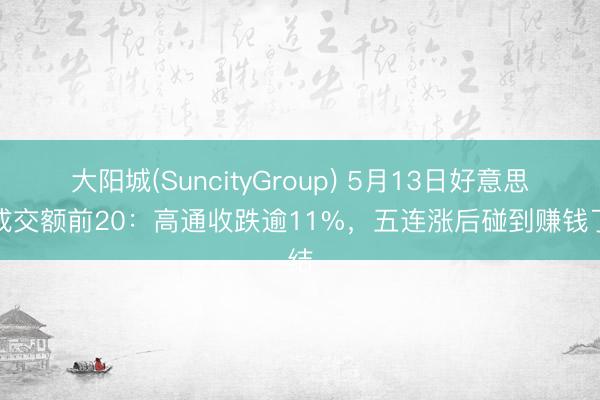 大阳城(SuncityGroup) 5月13日好意思股成交额前20：高通收跌逾11%，五连涨后碰到赚钱了结