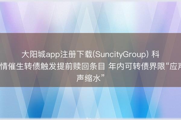 大阳城app注册下载(SuncityGroup) 科技股行情催生转债触发提前赎回条目 年内可转债界限“应声缩水”