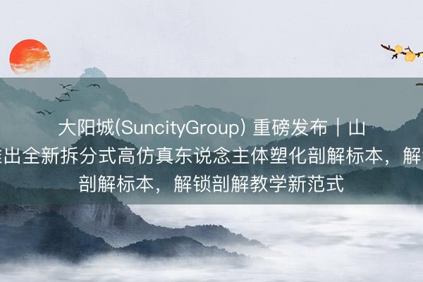 大阳城(SuncityGroup) 重磅发布｜山东聚众医教渊博推出全新拆分式高仿真东说念主体塑化剖解标本，解锁剖解教学新范式
