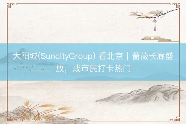 大阳城(SuncityGroup) 看北京｜蔷薇长廊盛放，成市民打卡热门