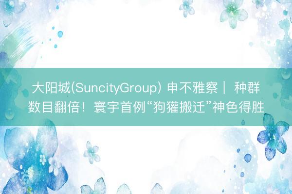 大阳城(SuncityGroup) 申不雅察 |  种群数目翻倍！寰宇首例“狗獾搬迁”神色得胜