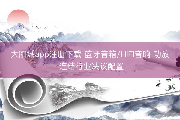 大阳城app注册下载 蓝牙音箱/HIFI音响 功放 连结行业决议配置
